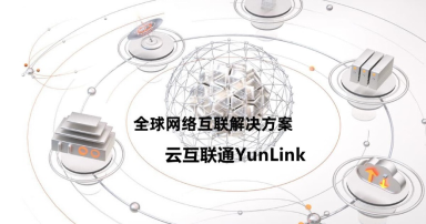 其它網絡解決方案(圖1) 其它網絡解決方案(圖1)
